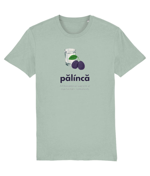 „Pălincă” – Dicționar de Cuvinte din Ardeal Creator 2.0 STTU169