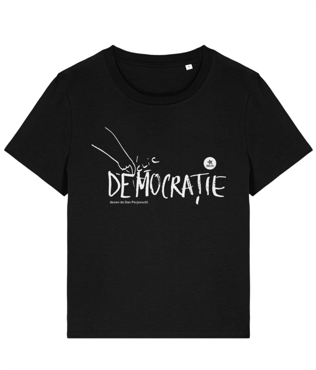 Democratie by Perjovschi - dama Stella Muser STTW172