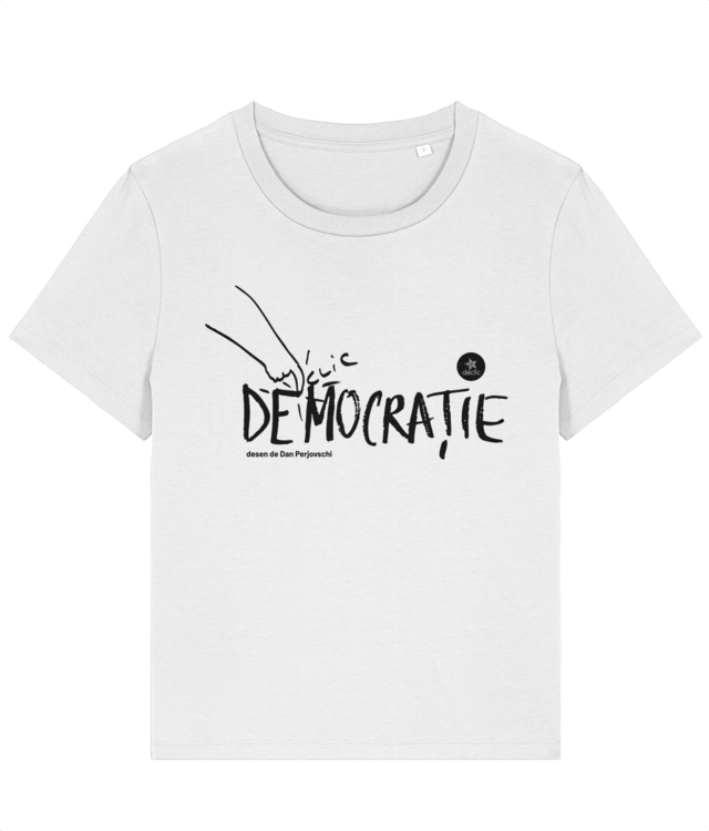 Democratie by Perjovschi - dama Stella Muser STTW172