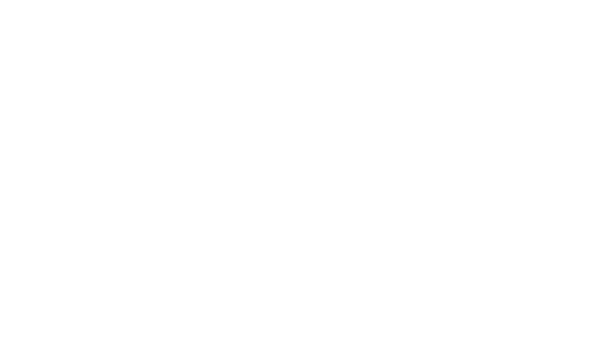 Democratie by Perjovschi