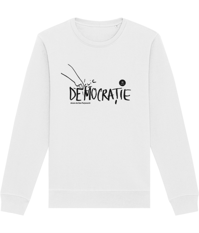 Perjovschi pentru Declic Roller