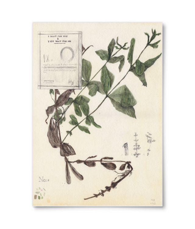 I wait for you, you wait for me Giclée Fine Art - Portrait | William Turner