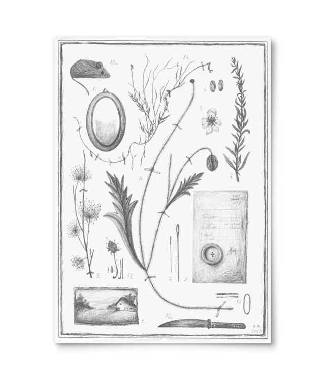 Objects Giclée Fine Art - Portrait | William Turner