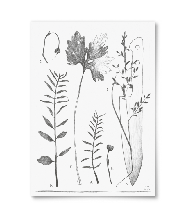 Plants Giclée Fine Art - Portrait | William Turner