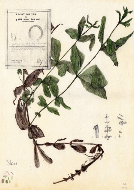 I wait for you, you wait for me