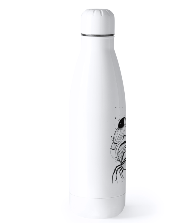 Rac Bidon Termic din Oțel Inoxidabil