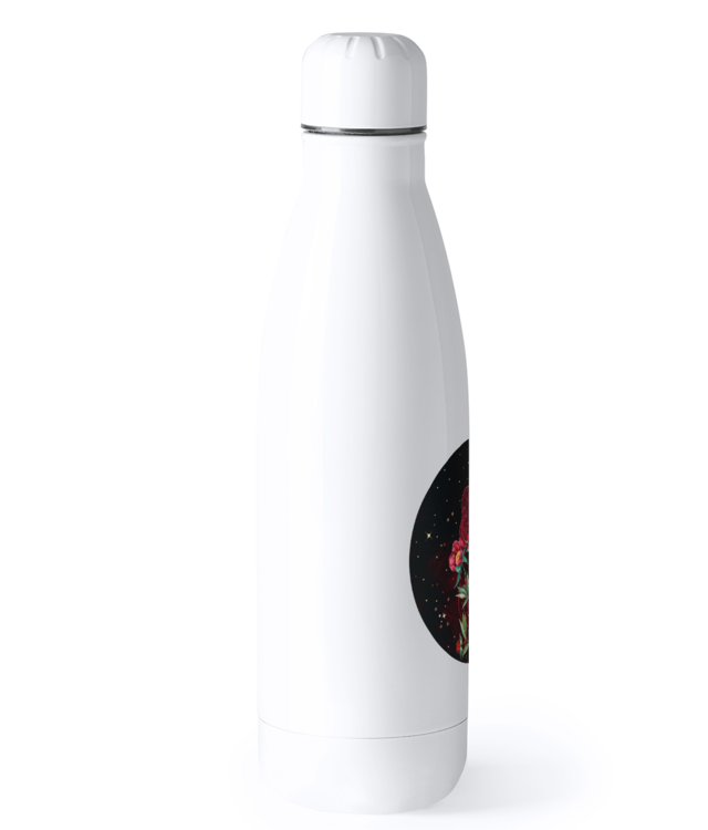 Fire Bidon Termic din Oțel Inoxidabil