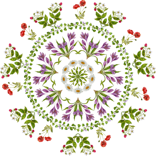 Wild Flowers Mandala