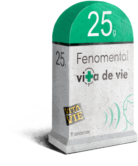 VDV Fenomental - Borna