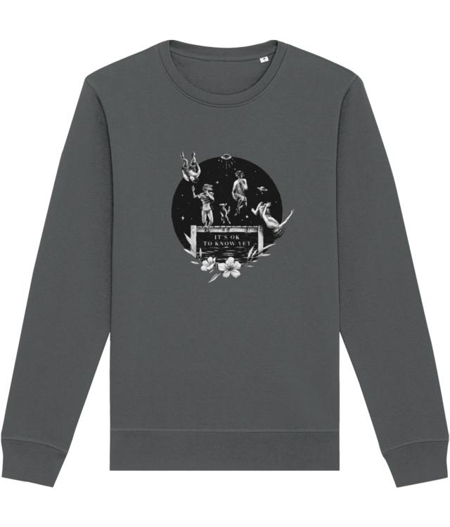 It's ok Bluză Unisex Essential | Roller