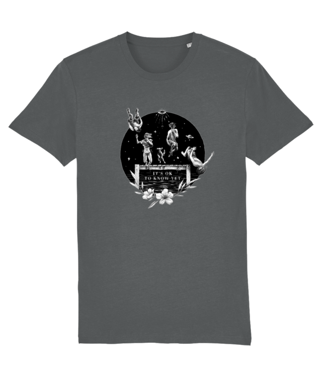 It's ok Tricou Unisex De Bumbac Premium | Creator 2.0