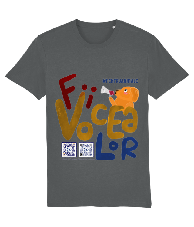 FII VOCEA LOR  Creator 2.0