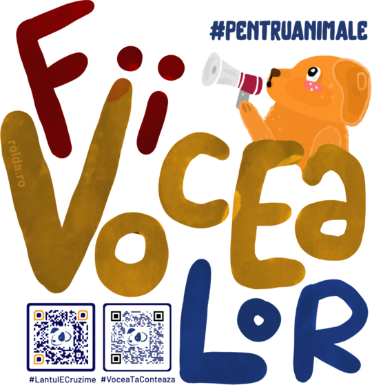 FII VOCEA LOR 