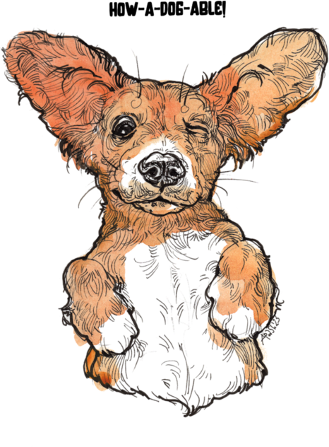 #HOW-A-DOG-ABLE