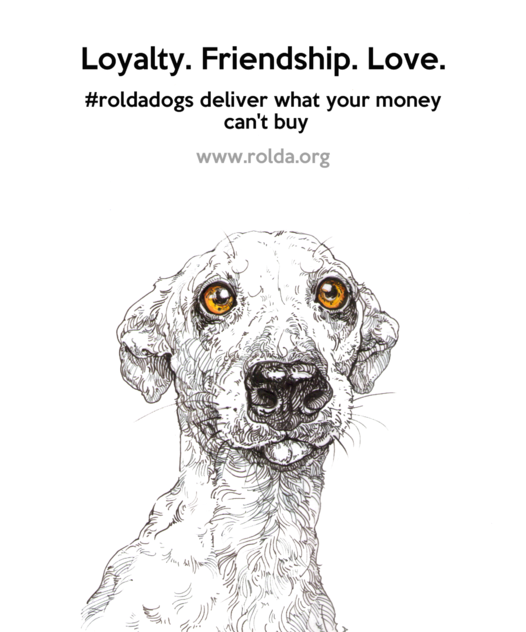 #LOYALTY_FRIENDSHIP_LOVE