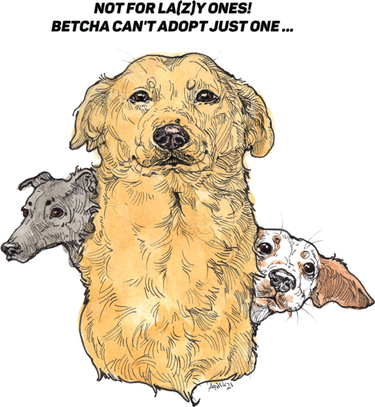 #NOT FOR LA(Z)Y ONES