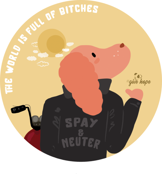 #SPAY & NEUTER
