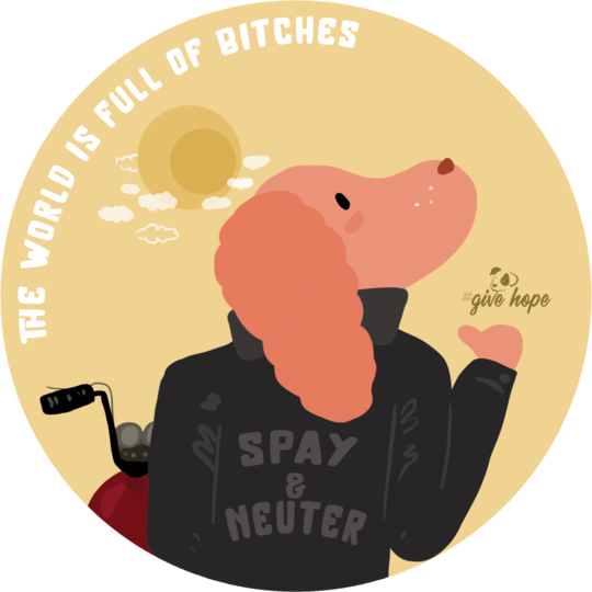 #SPAY & NEUTER