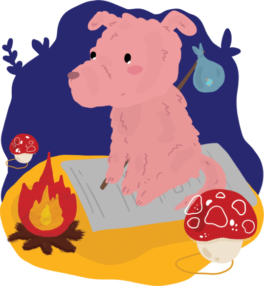 SPONSORIZEZ UN CÂINE FĂRĂ STĂPÂN