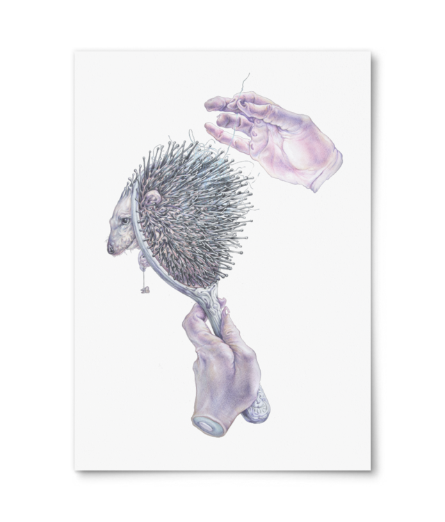 Hedgehog brush Giclée Fine Art - Portrait | William Turner