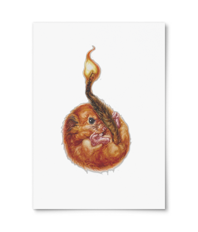 Fat Chance William Turner | A4 Portrait