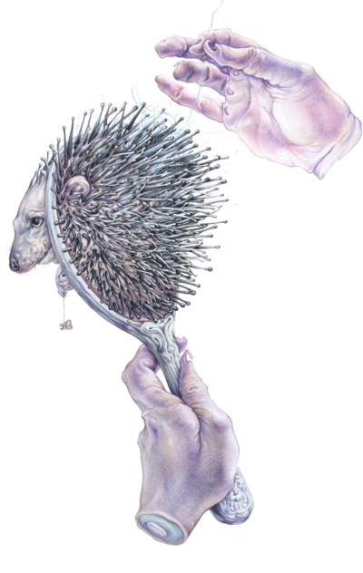 Hedgehog brush