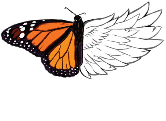 Doliu, Iubire, Fluturi