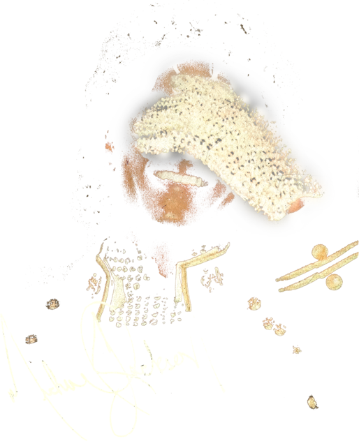 Michael Jackson Graphic Tee