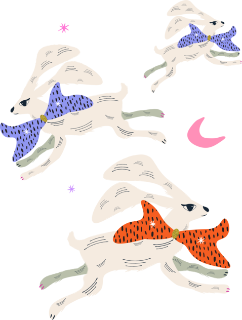 Magic Rabbits