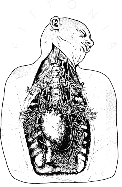 Anatomical OG
