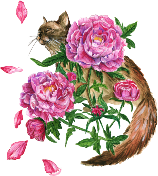 cat in the peonies