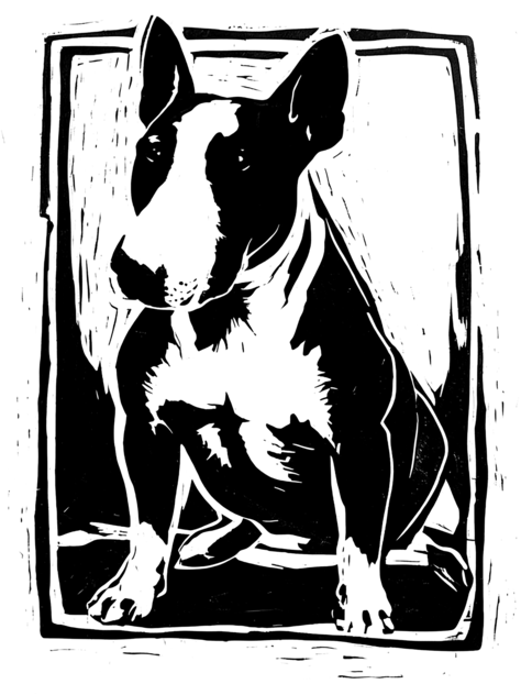 bullterrier2