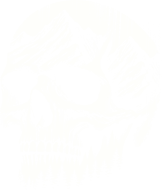 skull2