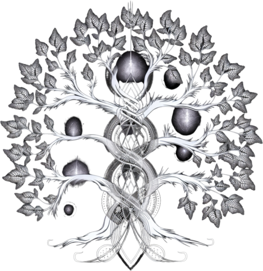 Geometrie Sacra - Copacul Vietii