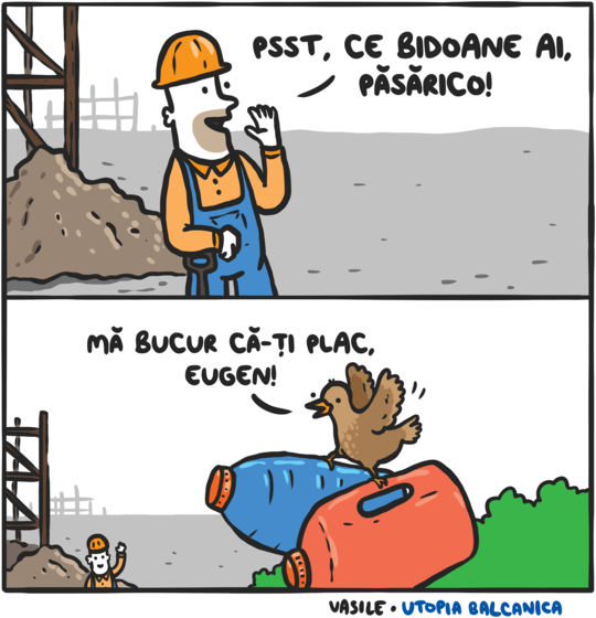 Ce Bidoane Ai Păsărico