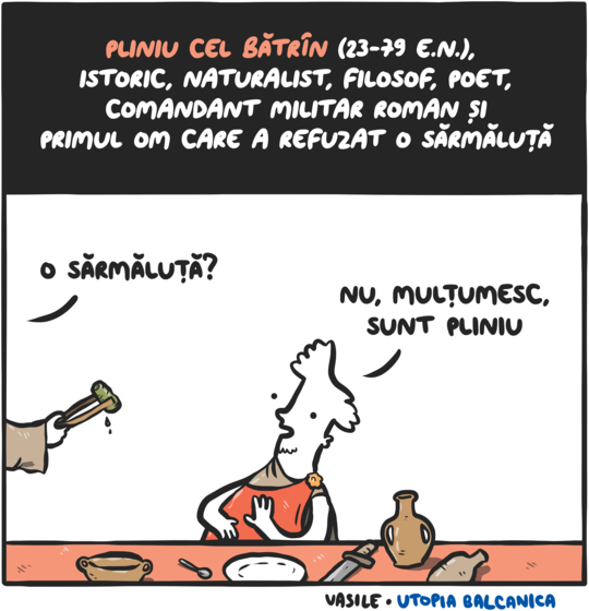 Nu Mulţumesc Sunt Pliniu