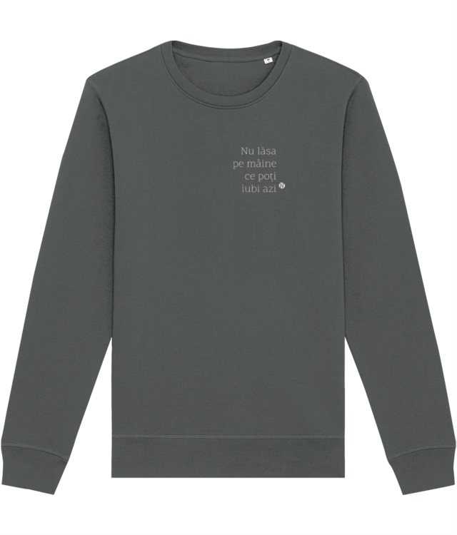 VDAY - Nu lăsa pe mâine ce poți iubi azi - Bluză Unisex - Ivcelnaiv