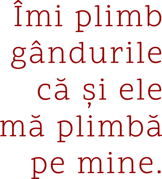 Îmi plimb gândurile -