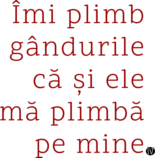 Îmi plimb gândurile -