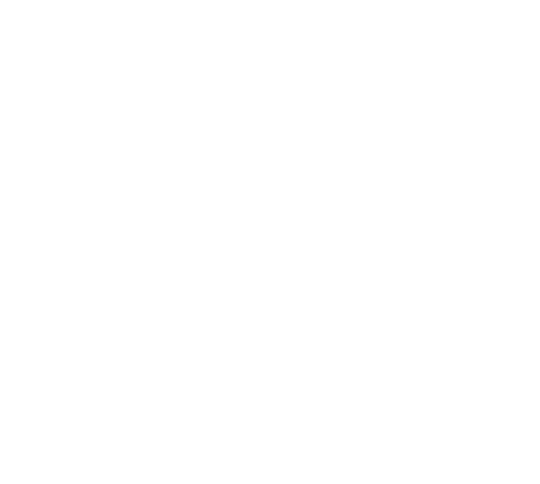 cenzor general