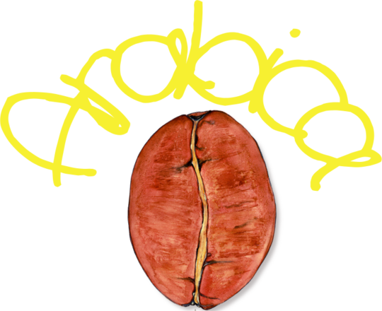 Arabica | colecţia Cafea