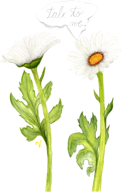 Împăcare