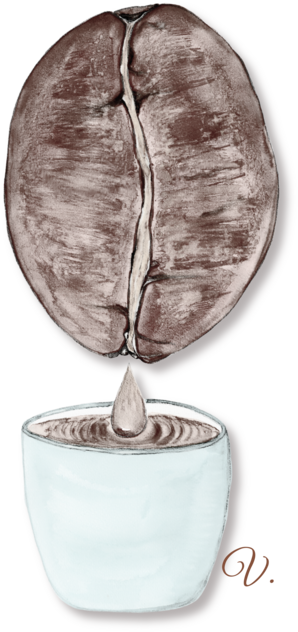 Picatura Arabica Arabica | colecţia Cafea