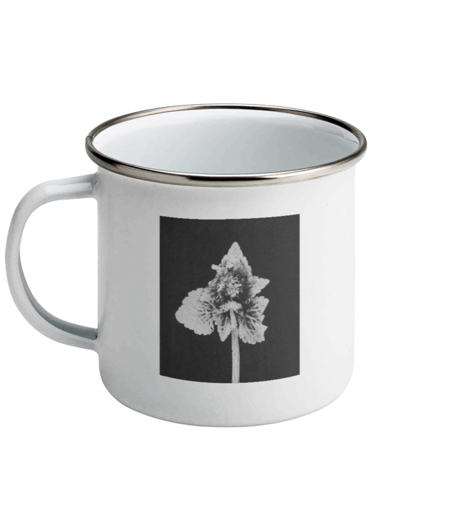 Impresii botanice | Lamium purpureum v5  Cana Emailata