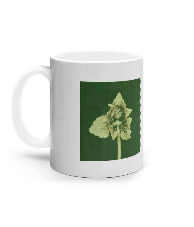 Impresii botanice | Lamium purpureum v3  Cana Ceramica Alba