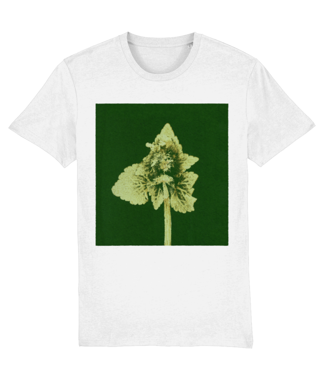 Impresii botanice | Lamium purpureum v3  Crafter