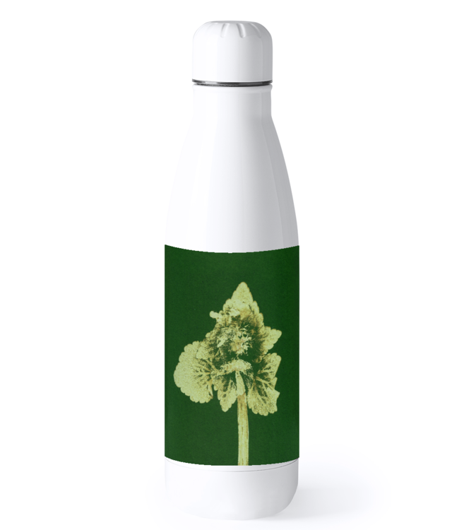 Impresii botanice | Lamium purpureum v3  Bidon Termic din Oțel Inoxidabil