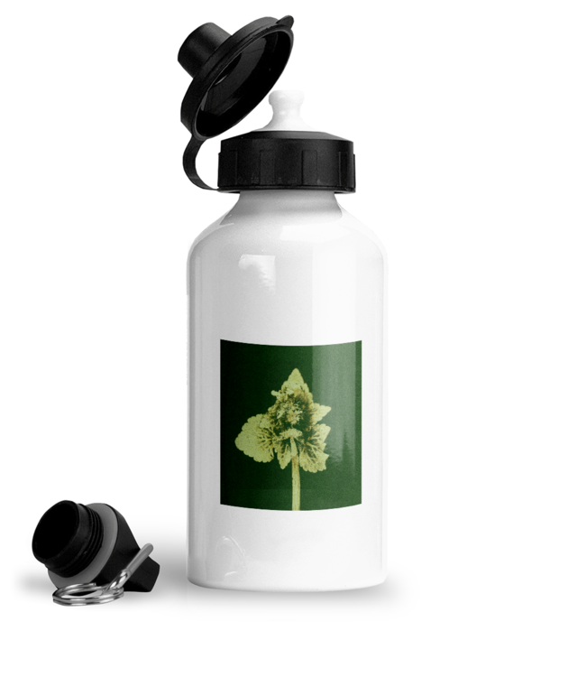 Impresii botanice | Lamium purpureum v3  Bidon Sport Din Aluminiu Cu Carabina