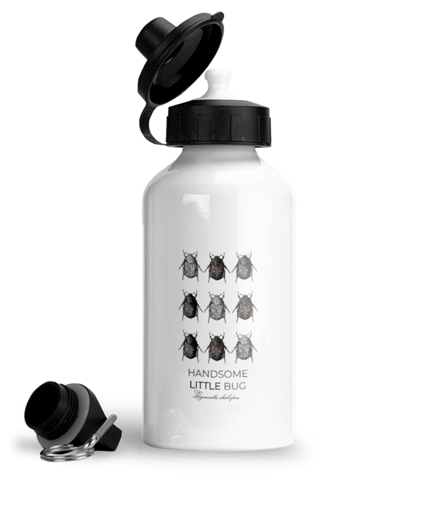 Lumea insectelor | Gymnetis chalcipes Bidon Sport Din Aluminiu Cu Carabina