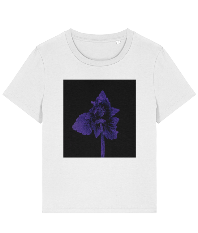 Impresii botanice | Lamium purpureum v1  Stella Muser STTW172